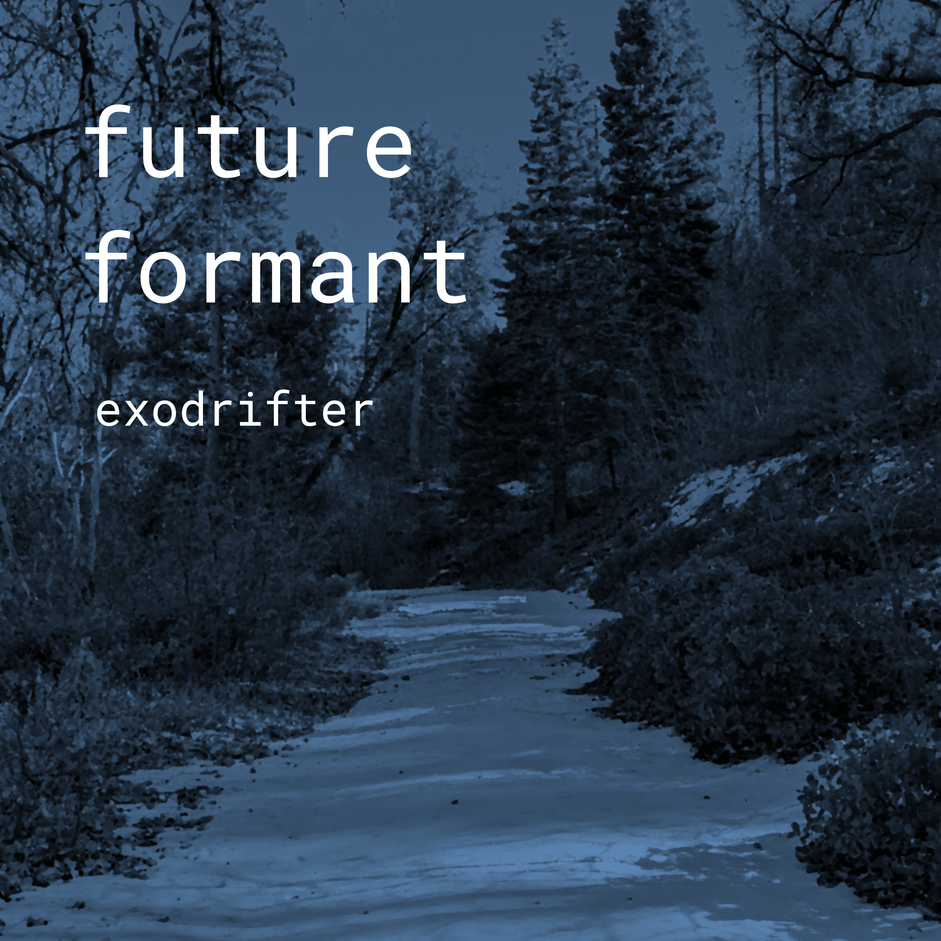 future formant album art, which is a picture of a snowy hiking path surrounded by trees and bushes.